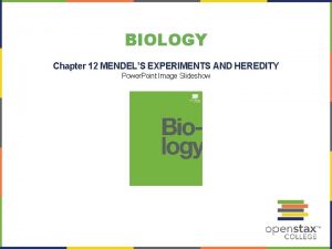 BIOLOGY Chapter 12 MENDELS EXPERIMENTS AND HEREDITY Power