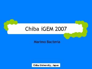 Chiba i GEM 2007 Marimo Bacteria Chiba University