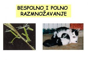 BESPOLNO I POLNO RAZMNOAVANJE RAZMNOAVANJE BESPOLNO 1 roditelj