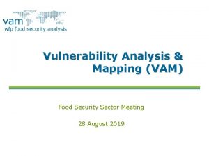 Vulnerability Analysis Mapping VAM Food Security Sector Meeting