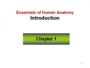 Essentials of Human Anatomy Introduction Chapter 1 1