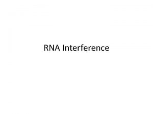 RNA Interference RNA Interference Over ten years ago