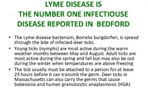 LYME DISEASE IS THE NUMBER ONE INFECTIOUSE DISEASE