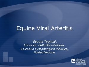 Equine Viral Arteritis Equine Typhoid Epizootic CellulitisPinkeye Epizootic