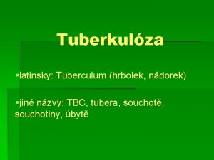 Tuberkulza latinsky Tuberculum hrbolek ndorek jin nzvy TBC