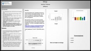 TITLE Authors Name Affiliates Introduction This slideposter size