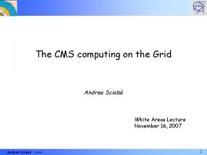 The CMS computing on the Grid Andrea Sciab