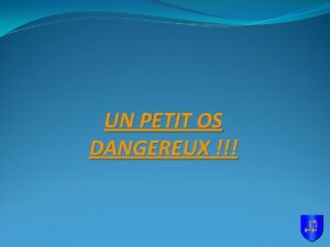 UN PETIT OS DANGEREUX Le voil cest celuici