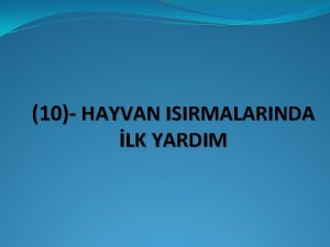 10 HAYVAN ISIRMALARINDA LK YARDIM Kedi Kpek Gibi