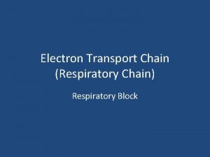 Electron Transport Chain Respiratory Chain Respiratory Block Electron