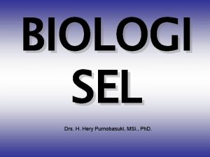 BIOLOGI SEL Drs H Hery Purnobasuki MSi Ph