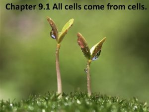 Chapter 9 1 All cells come from cells