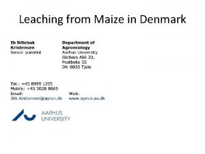 Leaching from Maize in Denmark Barley Maize Barleygrass