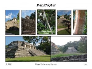 PALENQUE Singes dans larbre Orgue aux anges 10182021