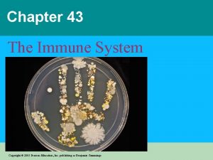 Chapter 43 The Immune System Power Point Lectures