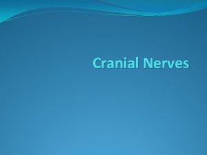 Cranial Nerves Label Describe the Nerve Functions CRANIAL