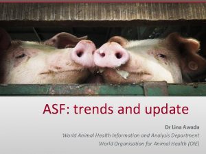 ASF trends and update Dr Lina Awada World