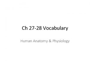 Ch 27 28 Vocabulary Human Anatomy Physiology Allantois