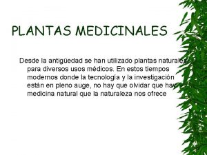 PLANTAS MEDICINALES Desde la antigedad se han utilizado