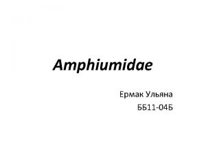 http 900 igr netkartinkimorskiezhiteliLjagushki2 files066 Amfiuma html Amphiuma