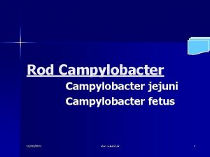 Rod Campylobacter jejuni Campylobacter fetus 10182021 alen vukeli