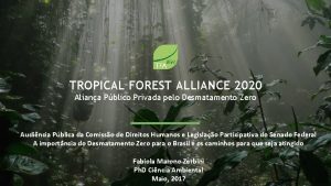 TROPICAL FOREST ALLIANCE 2020 Aliana Pblico Privada pelo