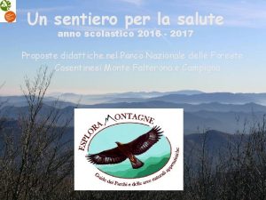 Un sentiero per la salute anno scolastico 2016