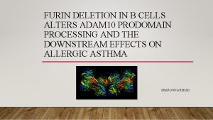 FURIN DELETION IN B CELLS ALTERS ADAM 10