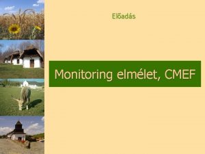 Elads Monitoring elmlet CMEF Felhasznlt dokumentumok 16982005EK Rendelet