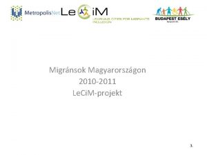Migrnsok Magyarorszgon 2010 2011 Le Ci Mprojekt Befogadott