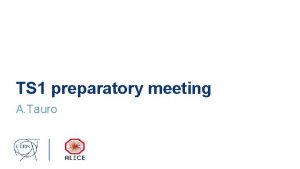 TS 1 preparatory meeting A Tauro General information