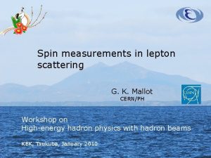 Spin measurements in lepton scattering G K Mallot