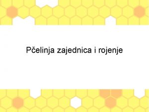 Pelinja zajednica i rojenje Pelinja zajednica matica radilica