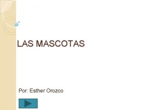 LAS MASCOTAS Por Esther Orozco Definicin Mascota es