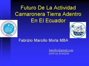 Futuro De La Actividad Camaronera Tierra Adentro En