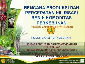 RENCANA PRODUKSI DAN PERCEPATAN HILIRISASI BENIH KOMODITAS PERKEBUNAN