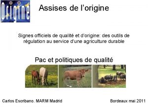 Assises de lorigine Signes officiels de qualit et