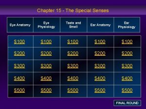 Chapter 15 The Special Senses Eye Anatomy Eye