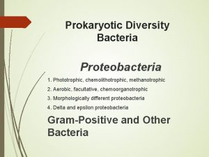 Prokaryotic Diversity Bacteria Proteobacteria 1 Phototrophic chemolithotrophic methanotrophic