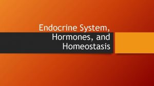 Endocrine System Hormones and Homeostasis THE ENDOCRINE SYSTEM
