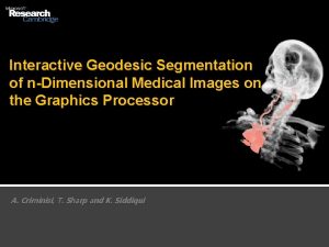 Interactive Geodesic Segmentation of nDimensional Medical Images on