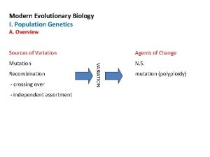 Modern Evolutionary Biology I Population Genetics A Overview