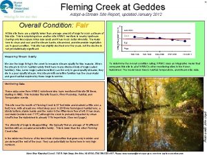 Fleming Creek at Geddes 11 AdoptaStream Site Report