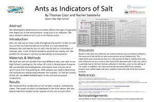 Ants as Indicators of Salt By Thomas Coor