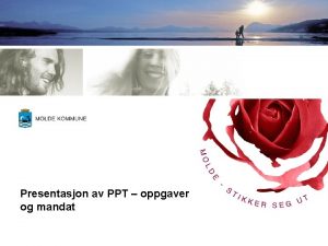 Presentasjon av PPT oppgaver og mandat PPT for