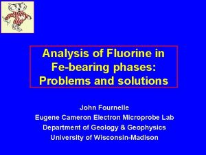 Analysis of Fluorine in Febearing phases Problems and