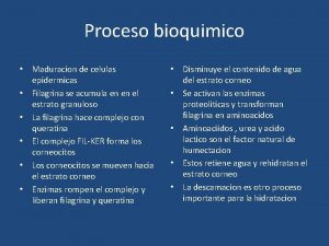 Proceso bioquimico Maduracion de celulas epidermicas Filagrina se