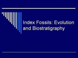 Index Fossils Evolution and Biostratigraphy Evolution o Variations