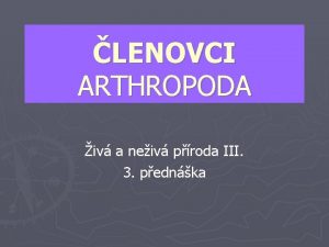 LENOVCI ARTHROPODA iv a neiv proda III 3