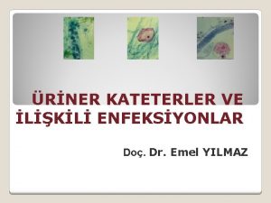 RNER KATETERLER VE LKL ENFEKSYONLAR Do Dr Emel